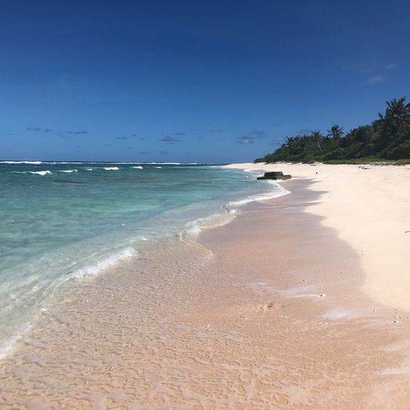 Meet your Posher, Kate - Picture 1 of 1